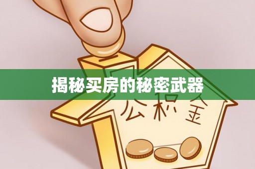 扎鲁特旗揭秘买房的秘密武器