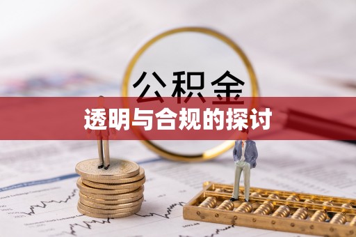 扎鲁特旗透明与合规的探讨