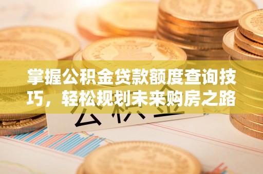 扎鲁特旗掌握公积金贷款额度查询技巧，轻松规划未来购房之路