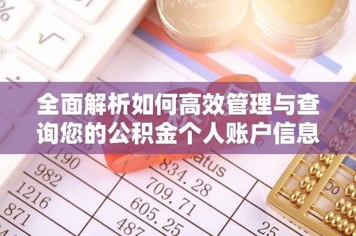 扎鲁特旗全面解析如何高效管理与查询您的公积金个人账户信息