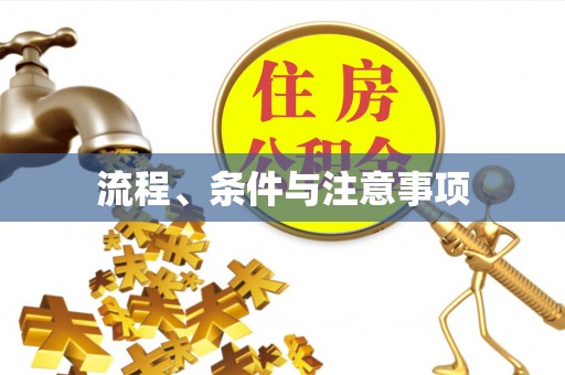 扎鲁特旗流程、条件与注意事项